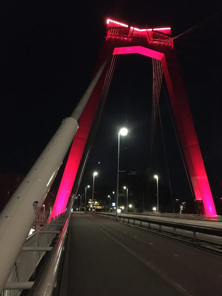Radtour durch Südholland auf der Willemsbrücke