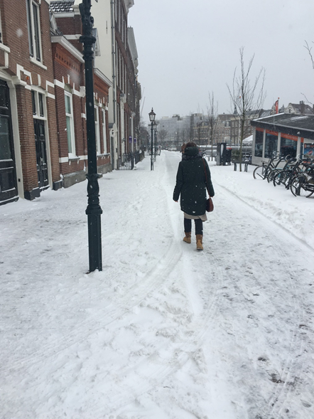 Wintereinbruch in Haarlem